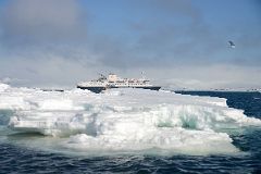 20 We Head Back To The Quark Expeditions Antarctica Cruise Ship From The Zodiac Near Aitcho Barrientos Island In South Shetland Islands.jpg